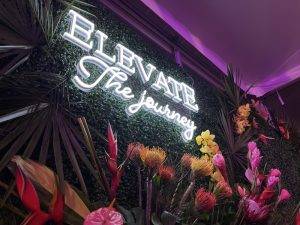 elevate photo backdrop